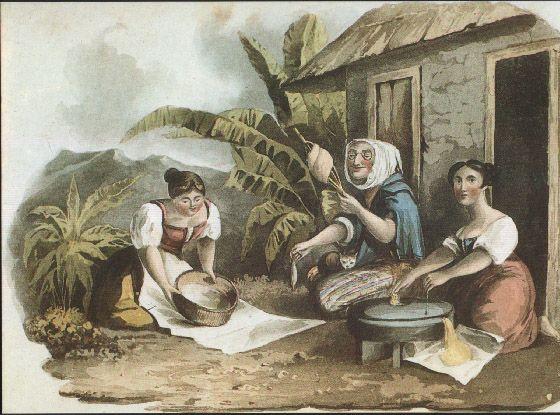 Rural occupations on Madeira — plate from A History of Madeira, 1821