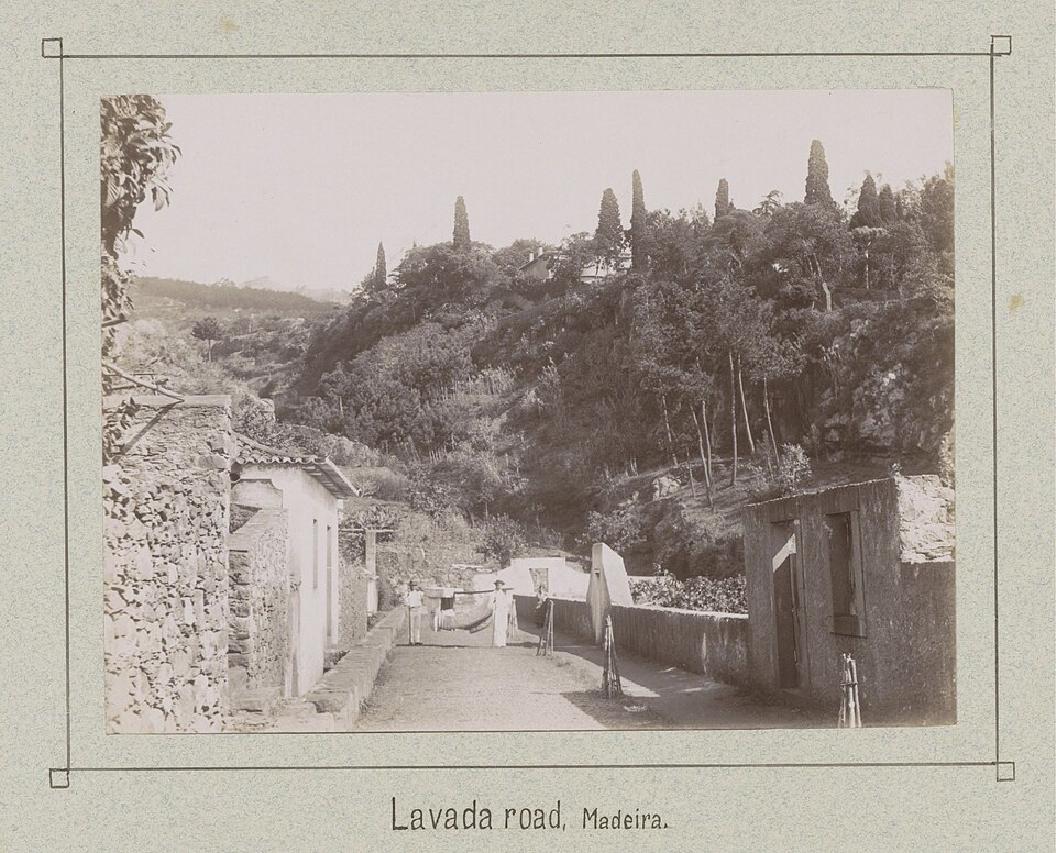 A levada channel with its footpath — 19th-century photograph, Rijksmuseum collection