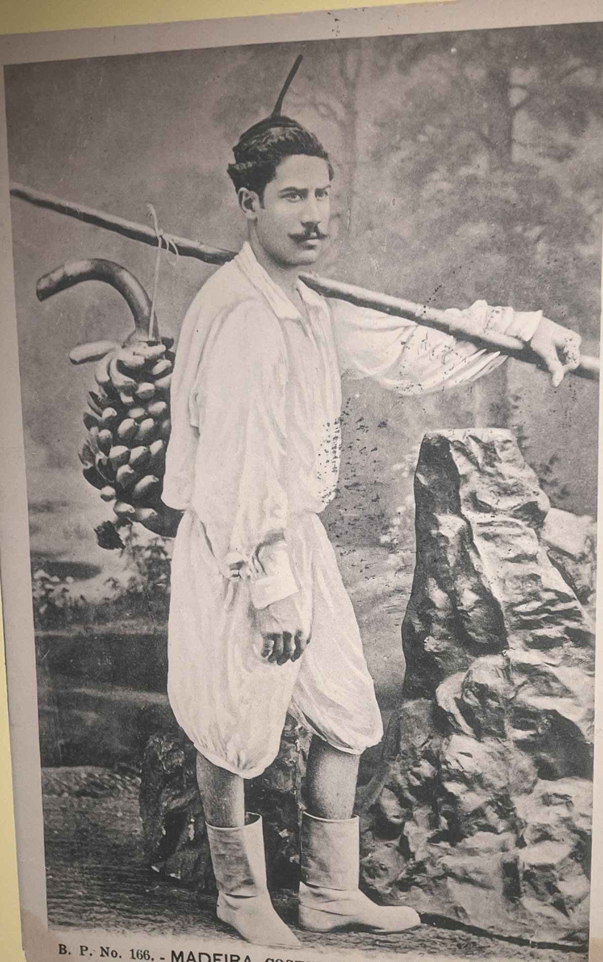 Banana carrier with a whole branch slung from a shoulder pole — Bazar do Povo postcard no. 166, circa 1900