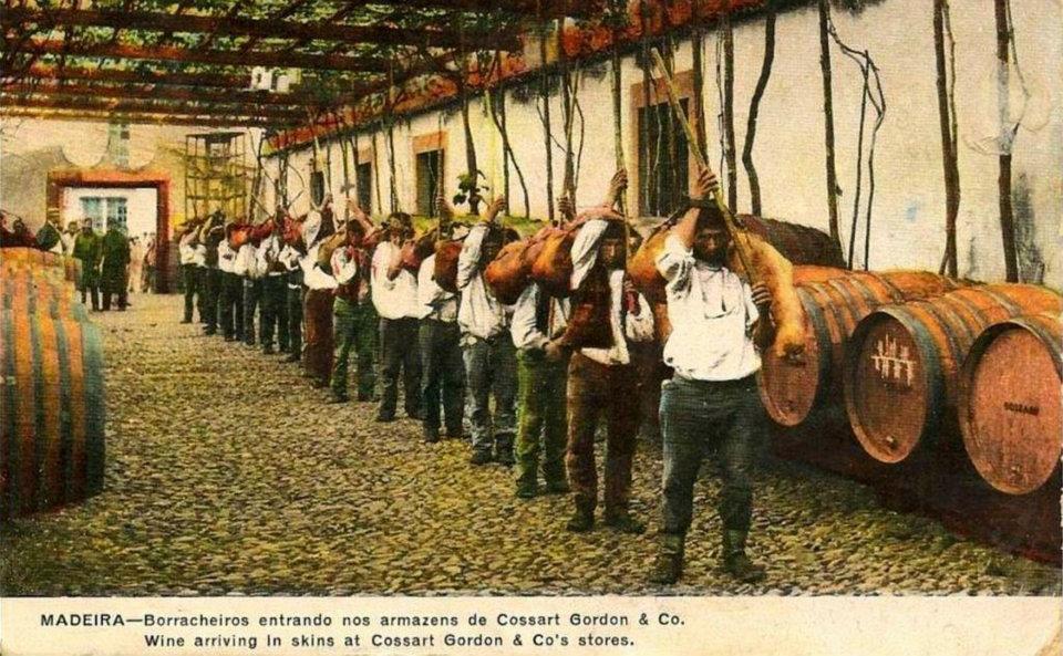 Borracheiros queueing with goatskins of wine at Cossart Gordon warehouses, circa 1900